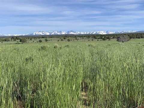 37 acres Tres Coyotes Trail, Montrose, CO 81403