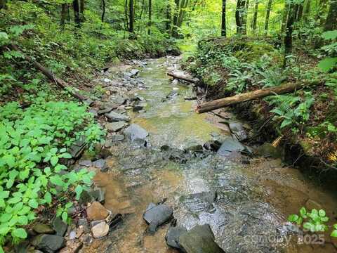 99999 Old Yellow Mountain Road, Marion, NC 28752
