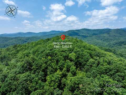 999 Davey Branch Road, Horse Shoe, NC 28742