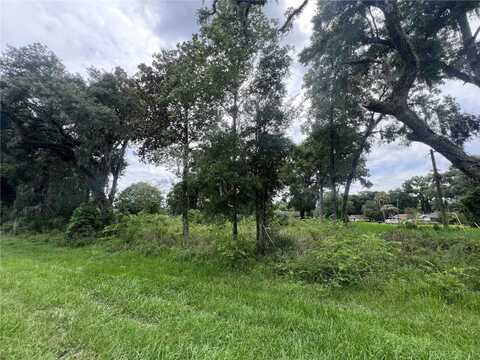 TBD NE JACKSONVILLE RD, OCALA, FL 34479