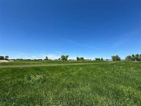 5 Liberty Drive, Bozeman, MT 59718