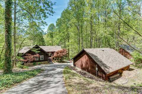 156 E Leatherwood Drive, Walland, TN 37886