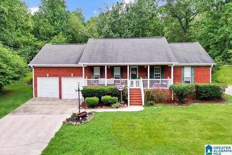 285 VISTA DRIVE, ONEONTA, AL 35121