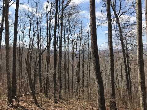 15 Bobcat Trail, Dunlap, TN 37327