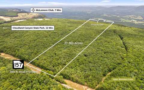 27 Acres Highway 157, Menlo, GA 30731