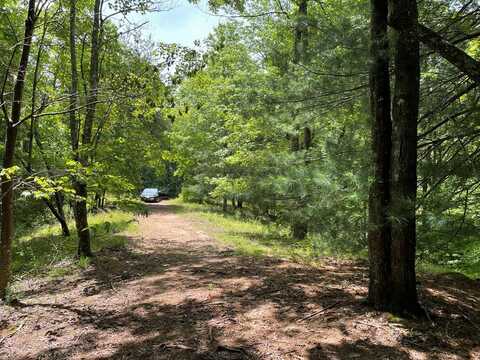 00 Collett Woods Trail, ANDREWS, NC 28901