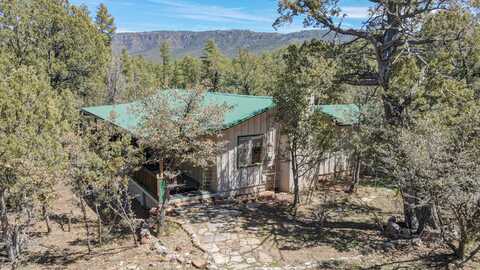 3495 N Limestone Way, Pine, AZ 85544