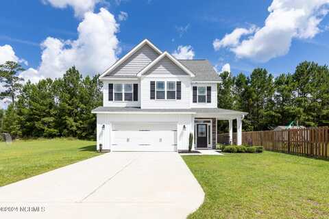 116 Saw Grass Drive, Maple Hill, NC 28454