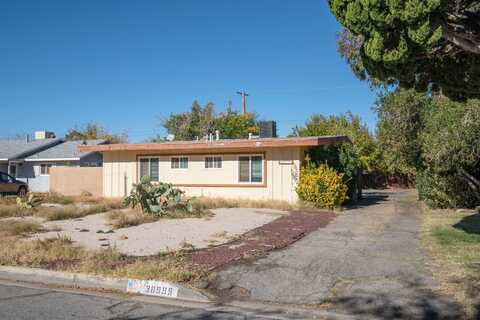 Juniper Tree, PALMDALE, CA 93551