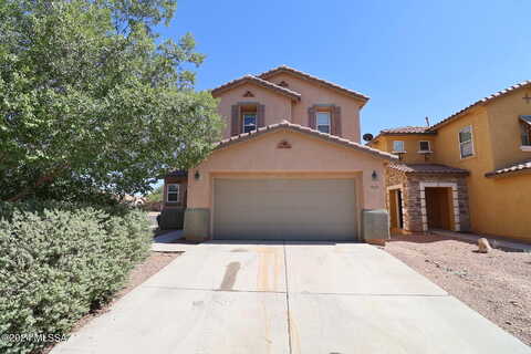 Orchard Grass, TUCSON, AZ 85756