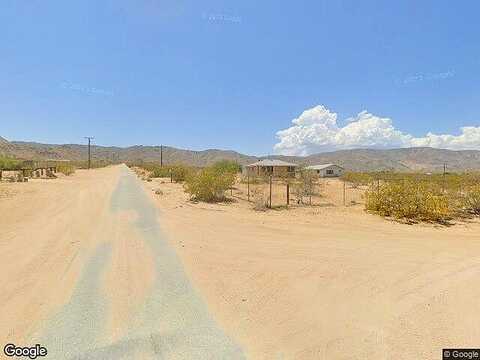 Cholla, JOHNSON VALLEY, CA 92285