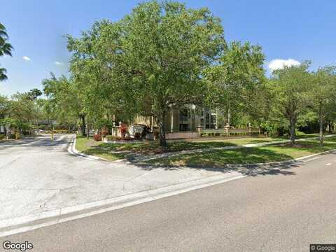 Carrington Park, TAMPA, FL 33647