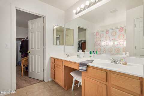 Falcon, GILBERT, AZ 85295