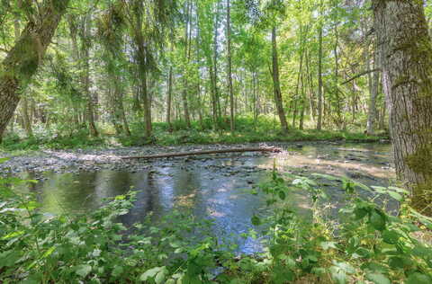 Cedar Flat, WILLIAMS, OR 97544