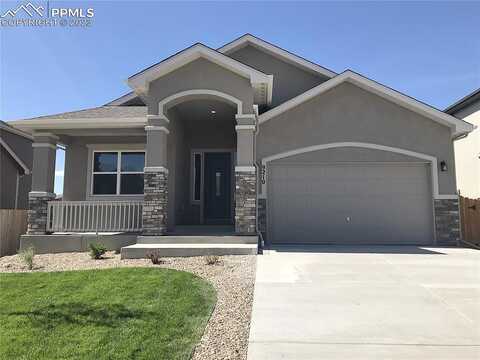 Pennycress, COLORADO SPRINGS, CO 80925