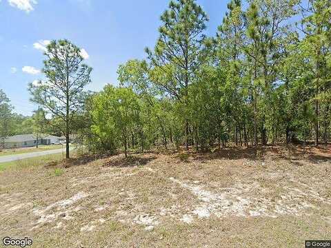 Lansen, CITRUS SPRINGS, FL 34433