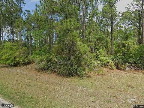 Sylvan, GEORGETOWN, FL 32139