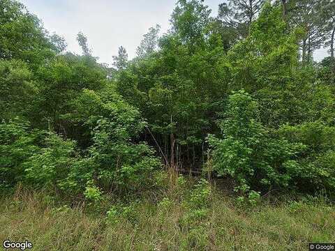 Albacore, SATSUMA, FL 32189