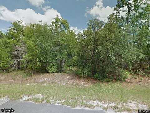 Frantz, CITRUS SPRINGS, FL 34434