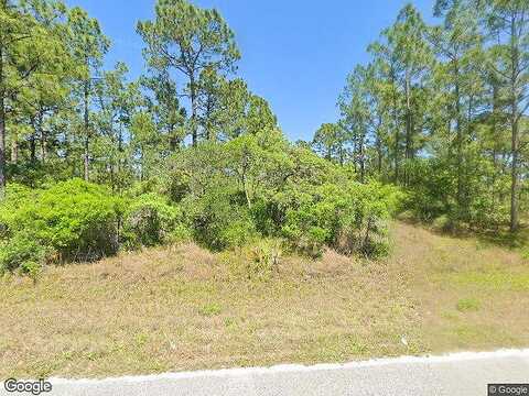 Impatiens, LAKE PLACID, FL 33852