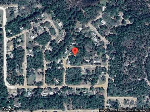 Pine, INTERLACHEN, FL 32148