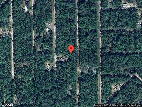 Forest, GEORGETOWN, FL 32139