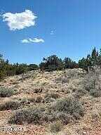 County Road N6100 -- -, Saint Johns, AZ 85936