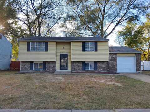 Willow Park, MEMPHIS, TN 38141