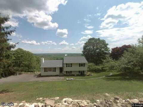 Treetops, BLOOMINGBURG, NY 12721