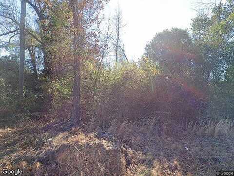 Woodland Acres Lot 8, HAMER, SC 29547