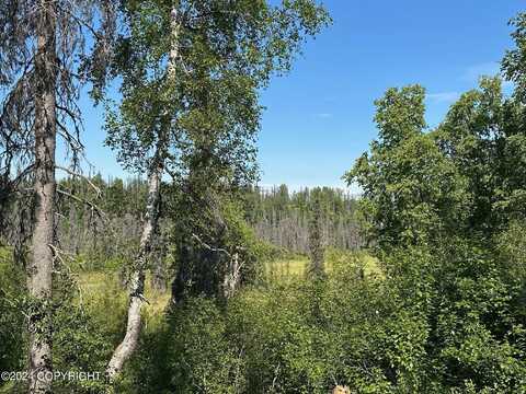 13030 W Petersville Road, Trapper Creek, AK 99683