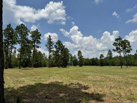 8.72 Acres Tandem Trail, Windsor, SC 29856