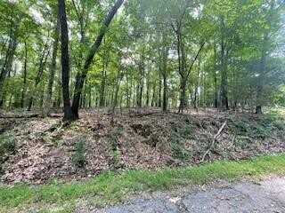 Lot 6 Chelmsworth CIR, Bella Vista, AR 72715