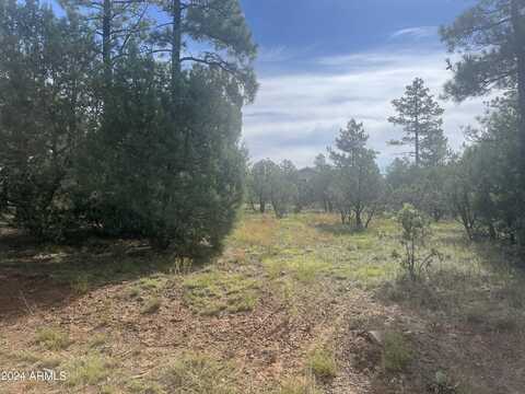 5481 RED SQUIRREL Lane, Lakeside, AZ 85929