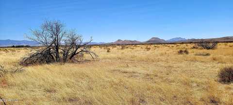 Lot 3 Highway 181 --, Pearce, AZ 85625