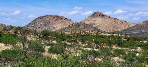 Lot 116 W Stetson Drive, Elfrida, AZ 85610