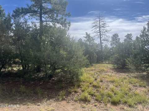 5455 RED SQUIRREL Lane, Lakeside, AZ 85929