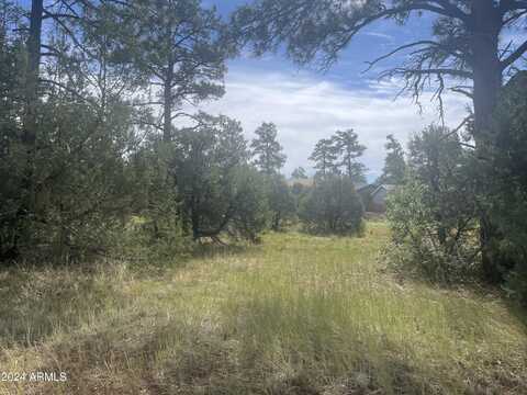 5429 RED SQUIRREL Lane, Lakeside, AZ 85929