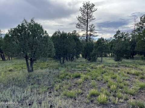 5402 RED SQUIRREL Lane, Lakeside, AZ 85929