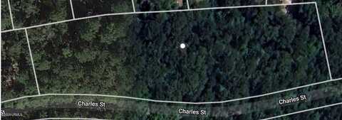 00 Charles Street, Varnville, SC 29944