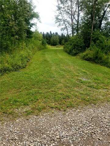 Lot #7 Tassell Hill Road S, Marshall, NY 13328