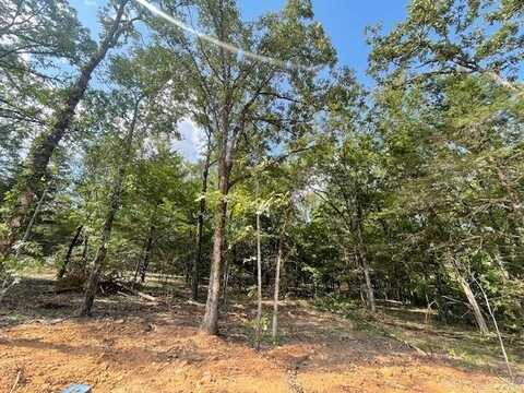 20 Sky Eagle Drive, Greenbrier, AR 72058