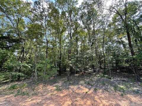 51 Sky Eagle Drive, Greenbrier, AR 72058