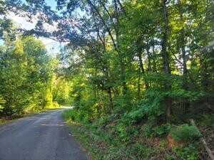 000 Ewing Road, Spring City, TN 37381