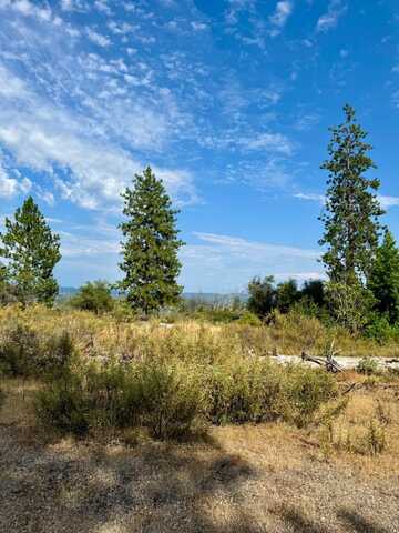 9741 Wendell Road, Mountain Ranch, CA 95246