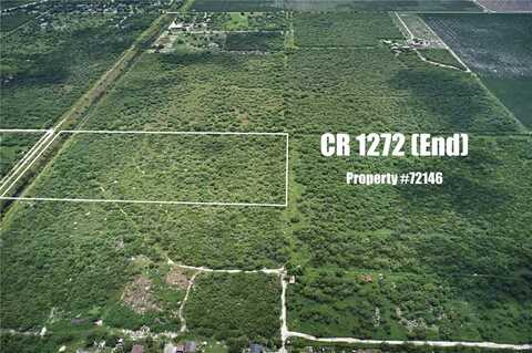 (end) County Road 1272, Sinton, TX 78387