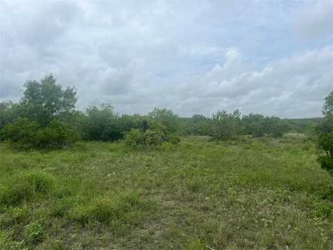 Ih 37 & 219 County Rd, Three Rivers, TX 78071