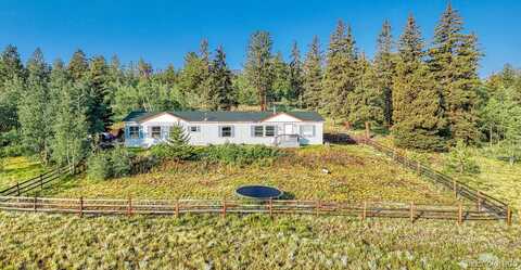 2604 Singletree Road, Hartsel, CO 80449