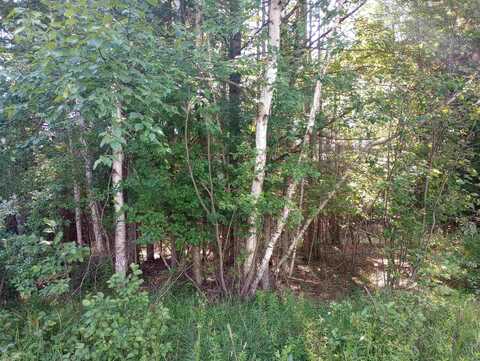 Lot 41 Sandbridge, Gladwin, MI 48624