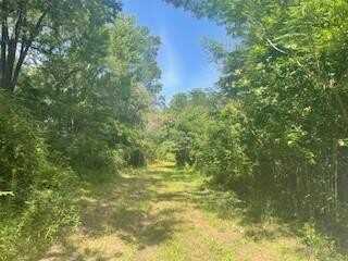 0 TBA BIG LAKE Road, Pineville, LA 71360